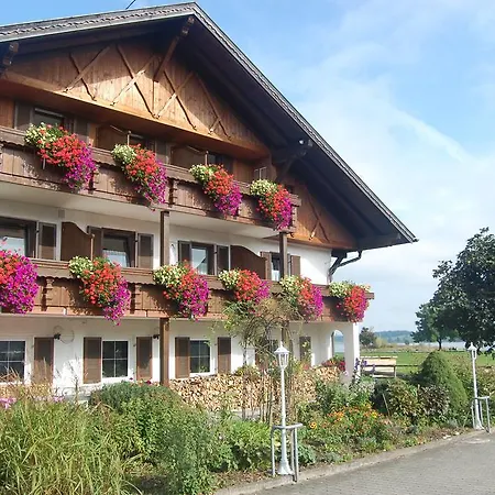 斯蒂芬妮旅馆 施万高